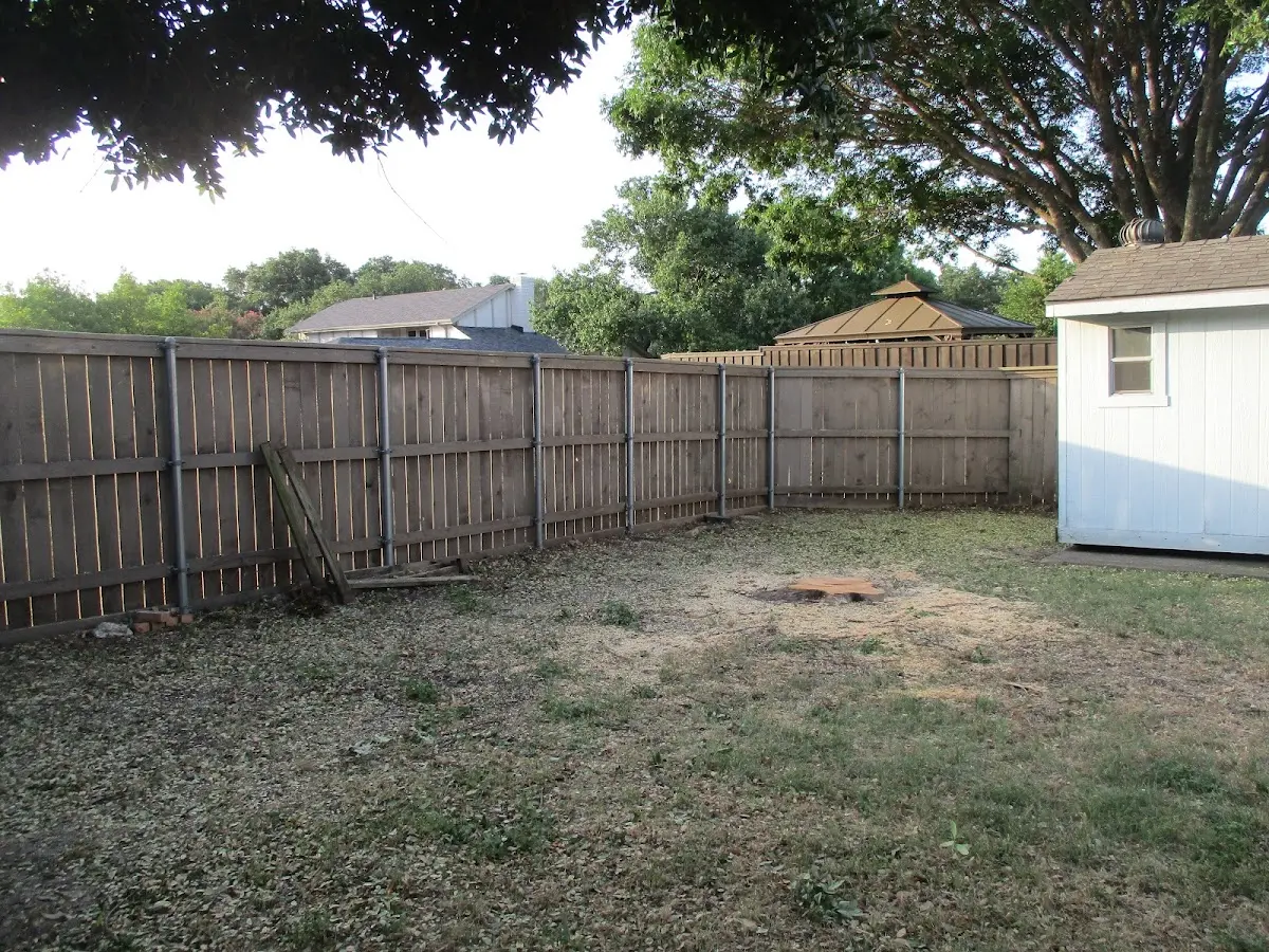 Cleared yard after professional tree removal in Tuolumne